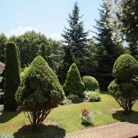 ельдорадо Bed & Breakfast Solochin
